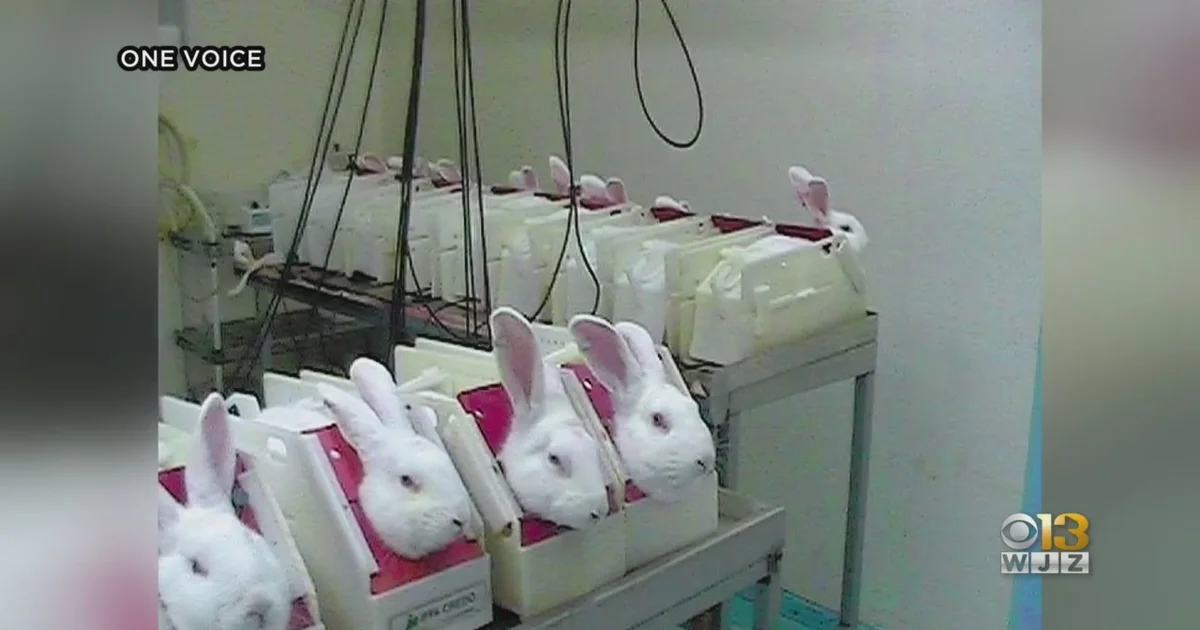 Clinical Trials Image